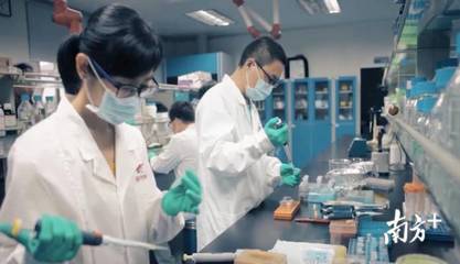 進(jìn)軍農(nóng)業(yè)現(xiàn)代化|沒有陽光土壤,蔬菜如何生長?探秘海豐神秘的植物工廠